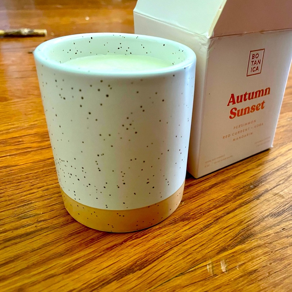 3 FOR $20: NWT Autumn Sunset soy candle in ceramic